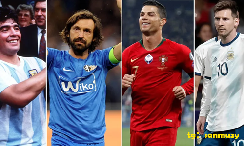 发现乐动体育官网